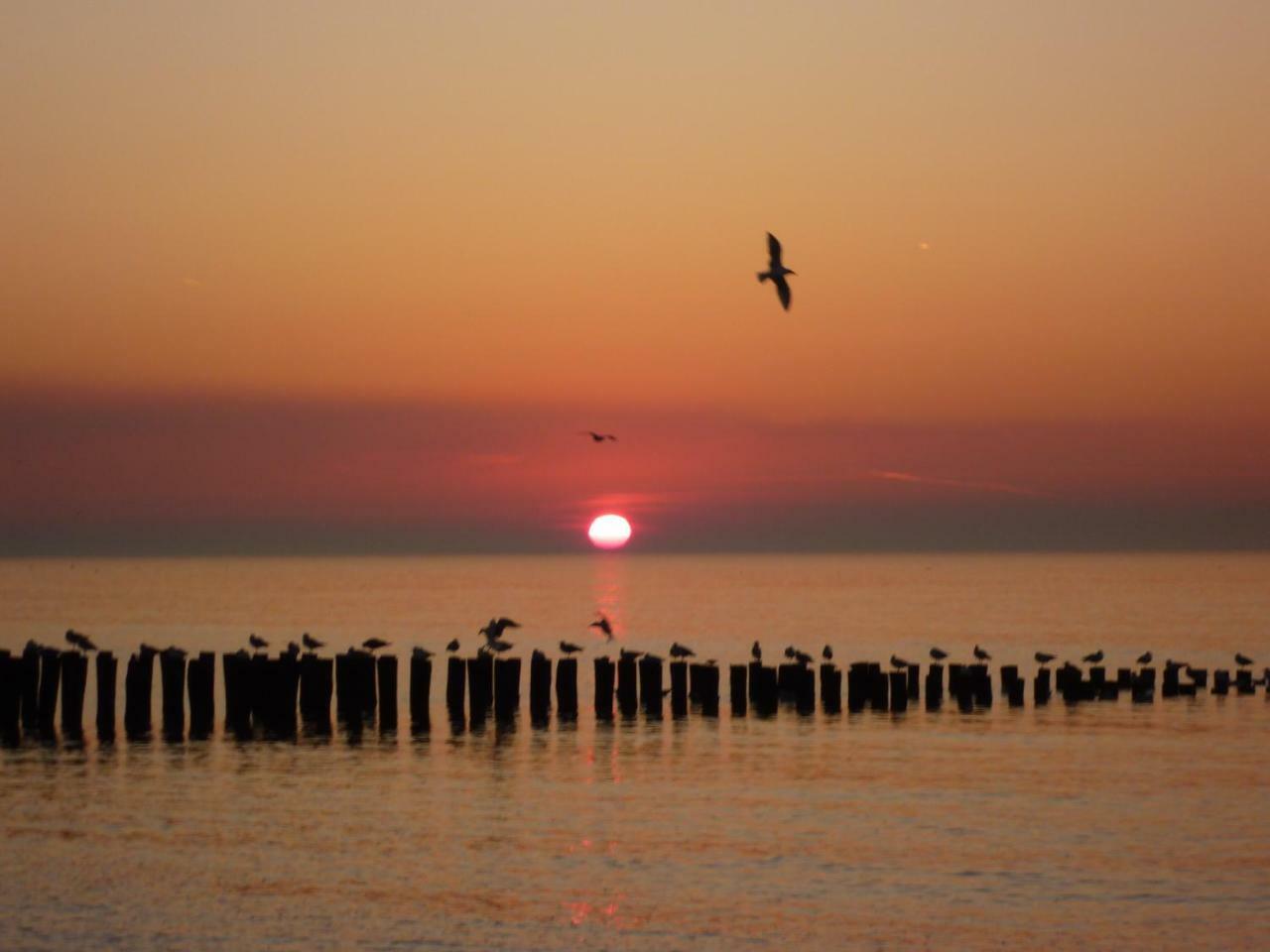 Vakantiewoning Dichtbij Centrum Domburg Do13 ภายนอก รูปภาพ